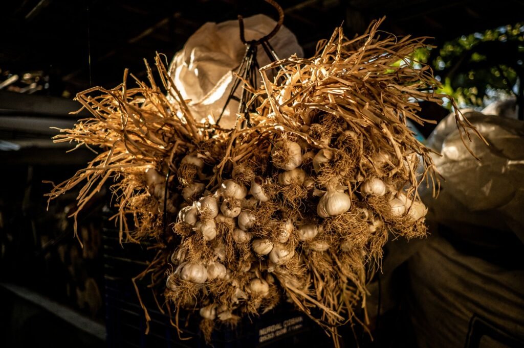 A rustic bunch of garlic hanging in a farm pantry, capturing the essence of rural life.