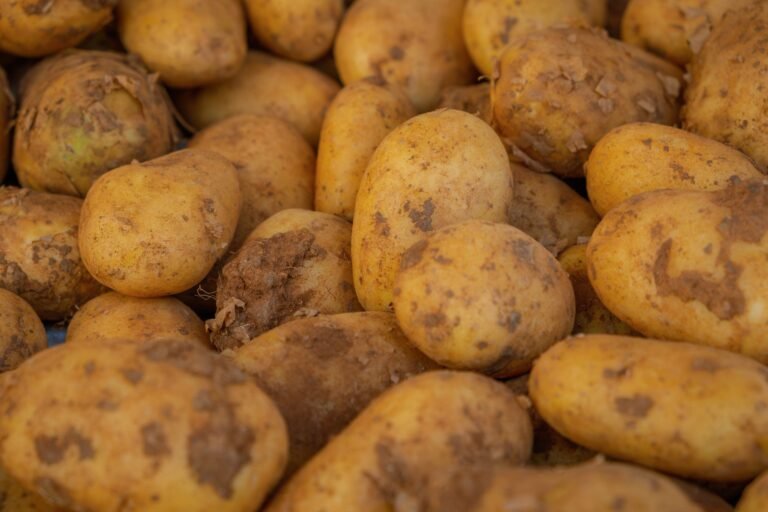 Close-up of freshly harvested potatoes with soil remnants, showcasing farm freshness.