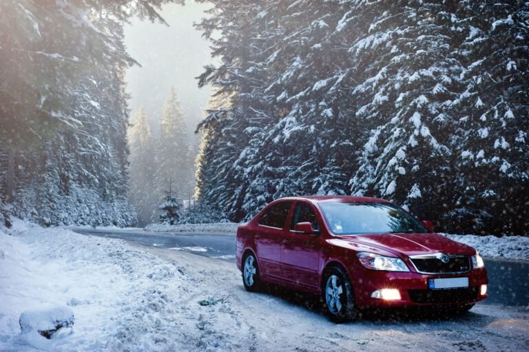 A red car drives along a snowy forest road in winter, surrounded by frosty trees.