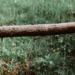 Aged rusted metal tube with dripping water above green lush lawn in garden