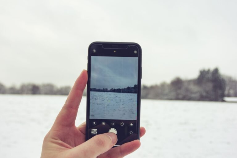 Crop anonymous person using smartphone to take picture of spacious snowy terrain with frozen trees on cold winter day