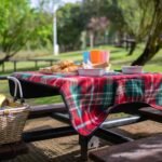 A vibrant picnic scene with food and basket on a table in a lush Portuguese park.