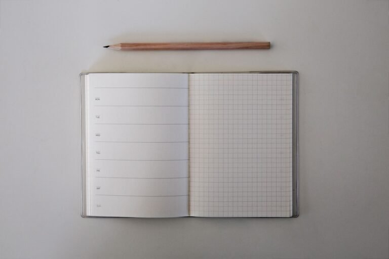 Open journal with lined and grid pages and a pencil on a white surface, top view.