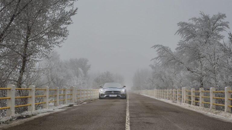 A Mercedes car drives on a foggy, tree-lined road during winter, creating a serene scene.