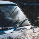 Close-up of a rusty, abandoned car partially covered by vegetation, reflecting sunlight.