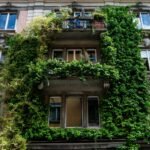 Beautiful urban building covered with lush green ivy creating a vibrant natural look.