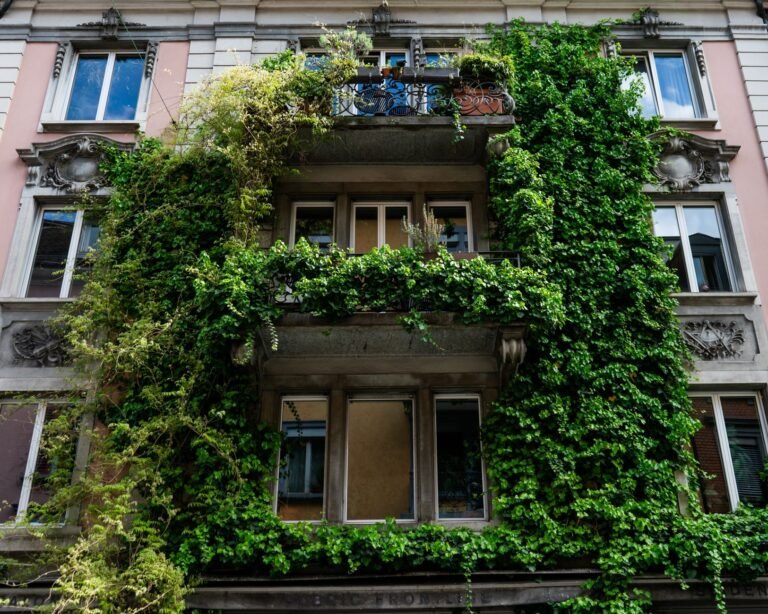 Beautiful urban building covered with lush green ivy creating a vibrant natural look.