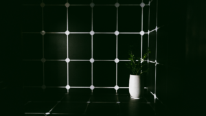 A minimalist scene featuring a green plant in a white vase against a dark tiled wall.