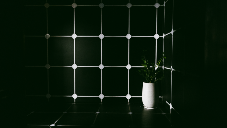A minimalist scene featuring a green plant in a white vase against a dark tiled wall.